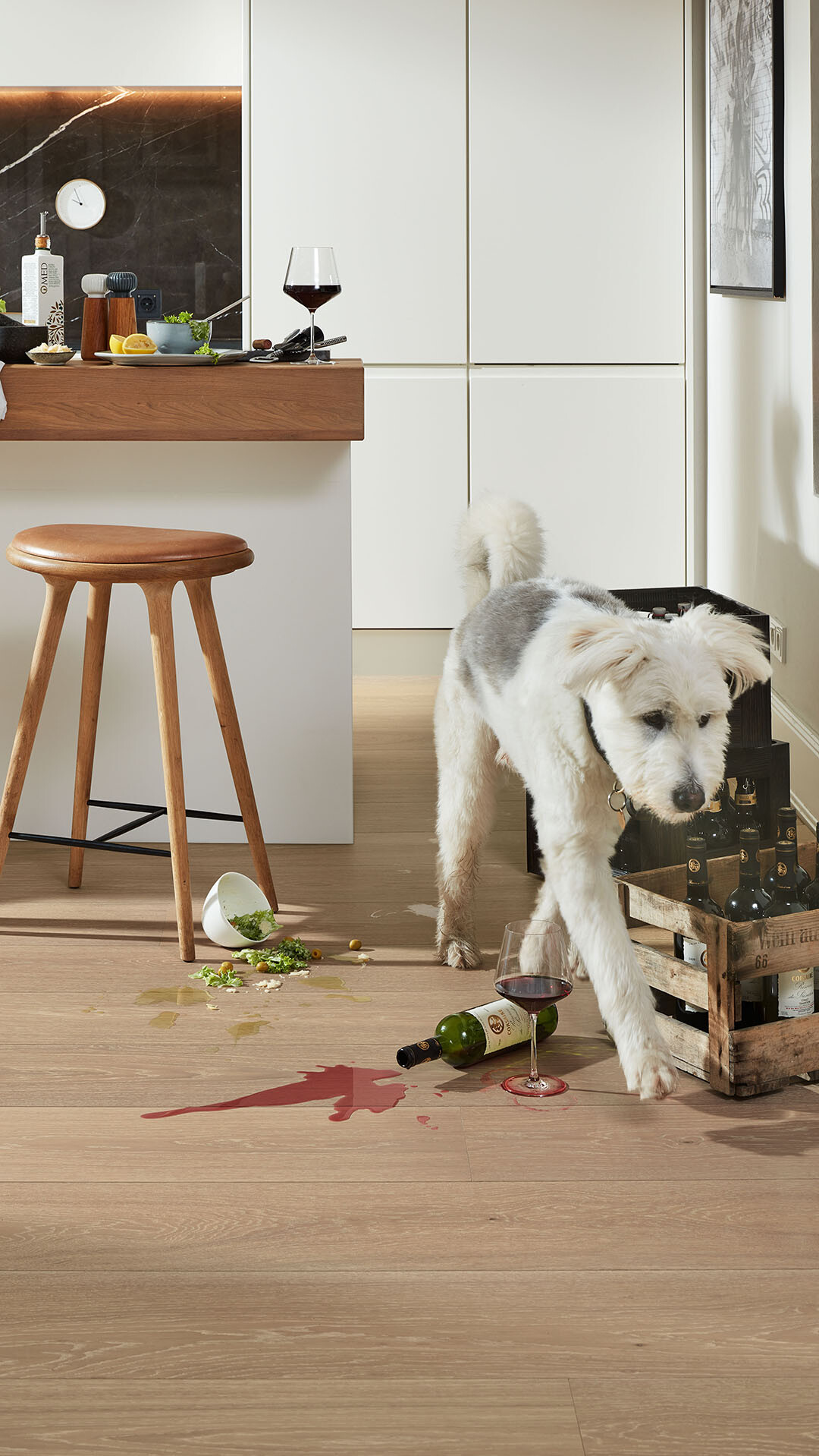 Can Small Dogs Scratch Laminate Flooring